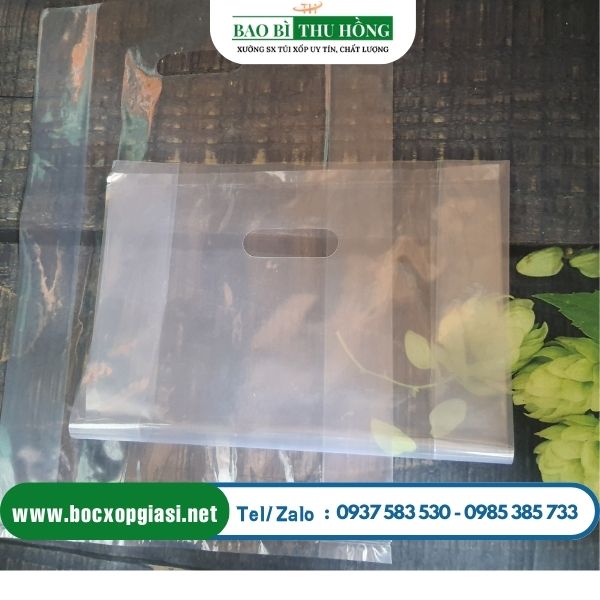 Túi hột xoài pe trong Túi hột xoài pe trong