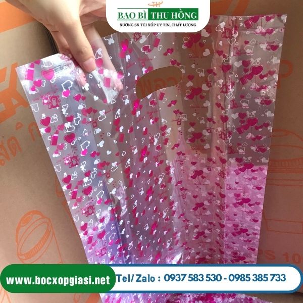 Túi hột xoài pp in hình sẵn Túi hột xoài pp in hình sẵn