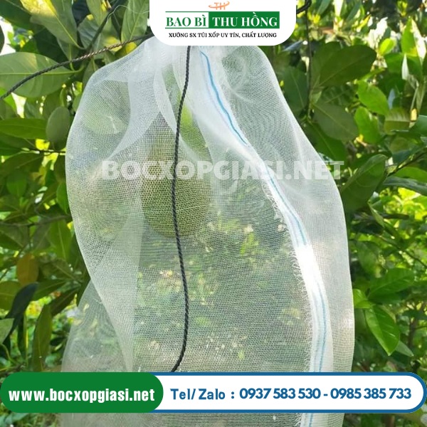 Túi lưới có rây rút bao mít, bảo vệ trái khỏi các tác động của côn trùng, thời tiết Túi lưới có rây rút bao mít, bảo vệ trái khỏi các tác động của côn trùng, thời tiết