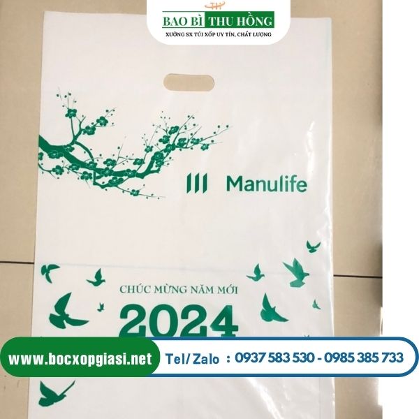 Cung cấp túi đựng lịch in ấn logo theo yêu cầu Cung cấp túi đựng lịch in ấn logo theo yêu cầu