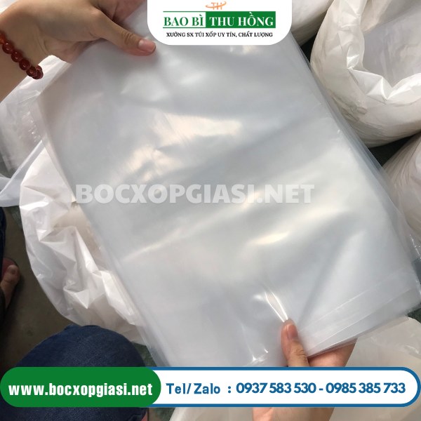 Túi pe trong Túi pe trong