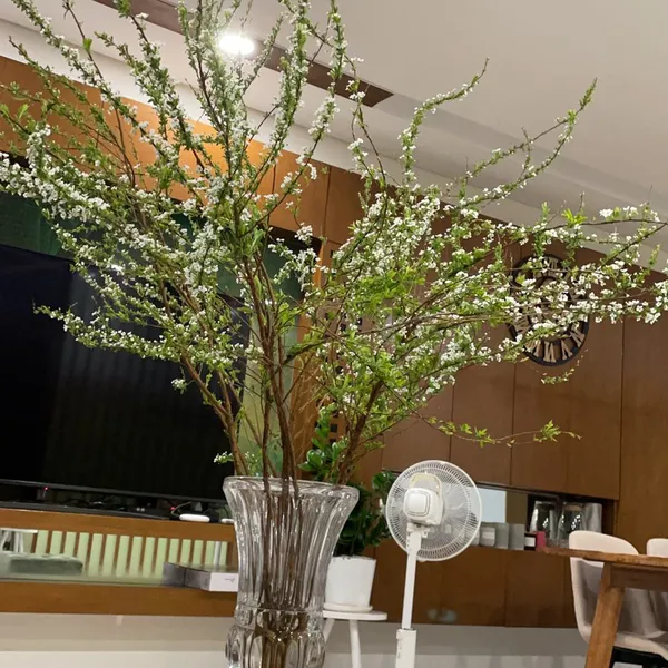 CHỊ HẠNH - QUẬN 2