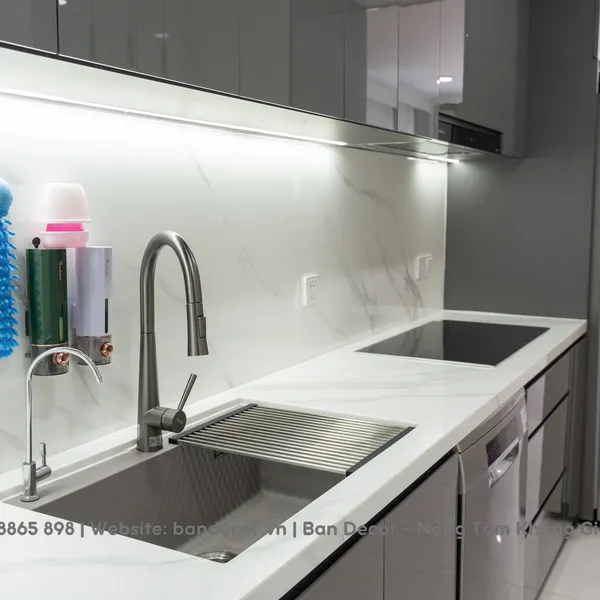 CHUNG CƯ DIAMOND ALNATA - TÂN PHÚ