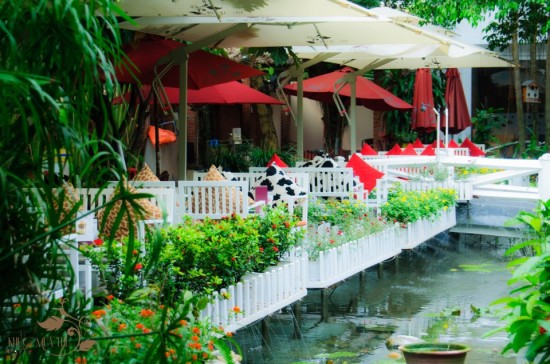 Cafe sân vườn: người uống tìm đến đây để được thoải mái trong không gian thiên nhiên, thoáng đãng. Cafe sân vườn: người uống tìm đến đây để được thoải mái trong không gian thiên nhiên, thoáng đãng.