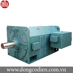 Động cơ trung thế 