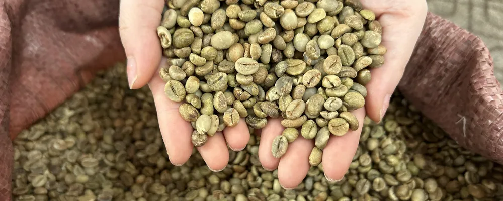 Hạt nhân xanh tại Việt Mỹ Coffee