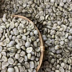 Nhân xanh Arabica s18