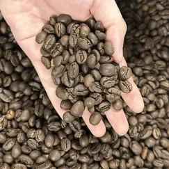 Hạt cà phê rang mộc Robusta