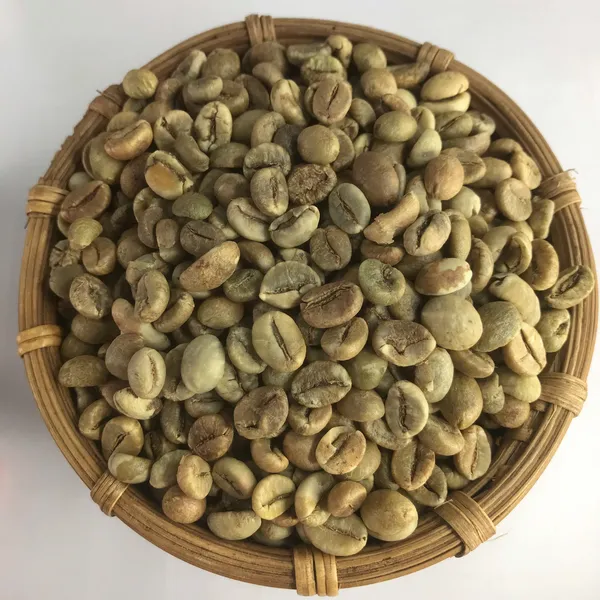 Nhân Xanh Robusta s18