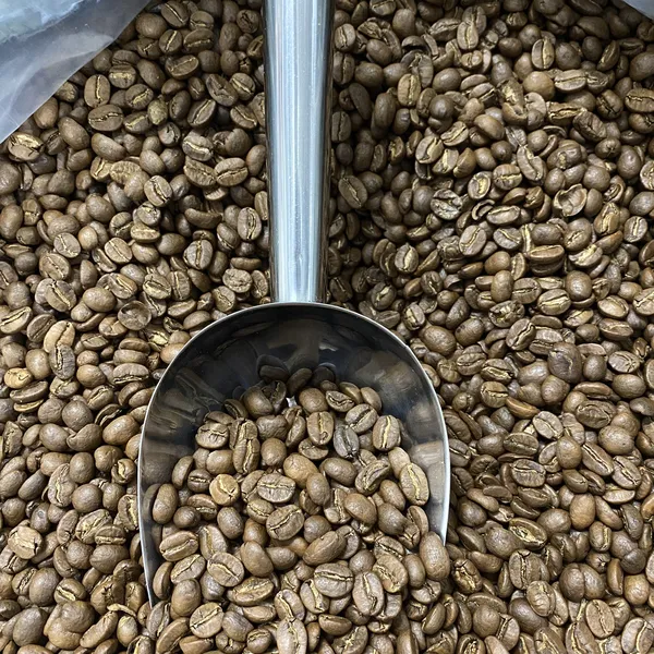 Hạt cà phê rang mộc Arabica loại 2 