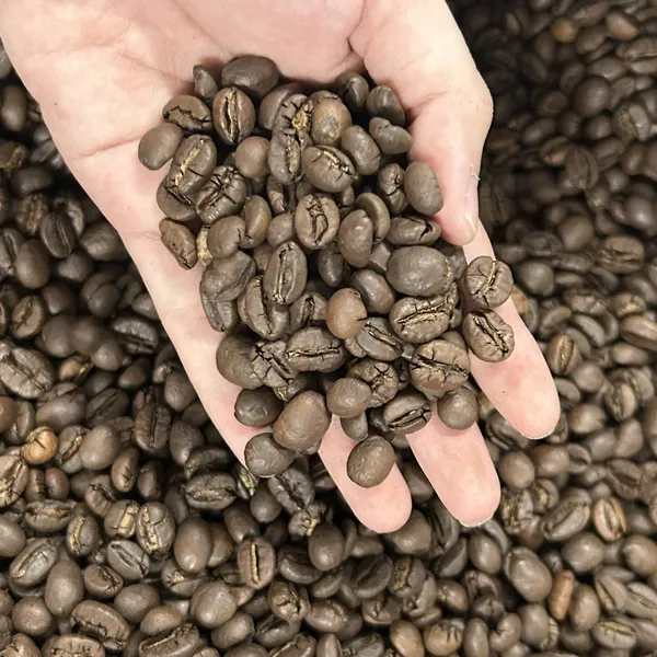 Hạt cà phê rang mộc Robusta 