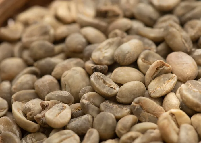 Cà phê nhân xanh là gì? Những điều cần biết về xu hướng mới trong ngành công nghiệp cà phê