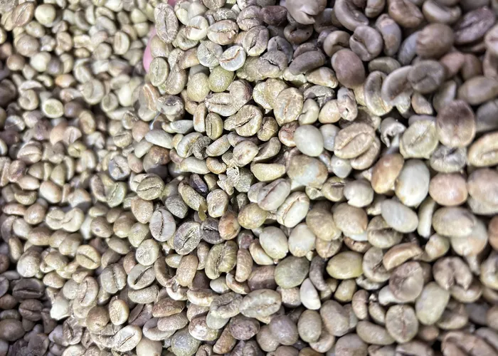 Nhân xanh Robusta S18 và Việt Mỹ Coffee: Lựa chọn hàng đầu cho nhà rang