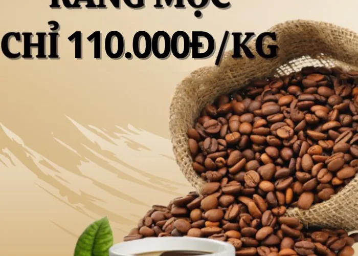 Caffe robusta. caffe rang môc robusta. caffe môc. robusta