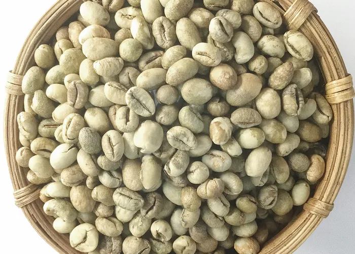  Hạt cà phê Culi - Hương vị độc đáo và chất lượng cao