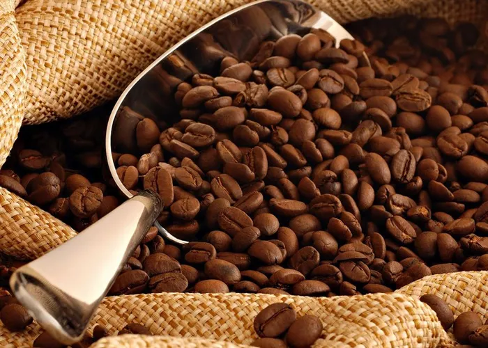 Tầm quan trọng của việc chọn hạt cà phê chất lượng và nhận biết hạt cà phê tốt
