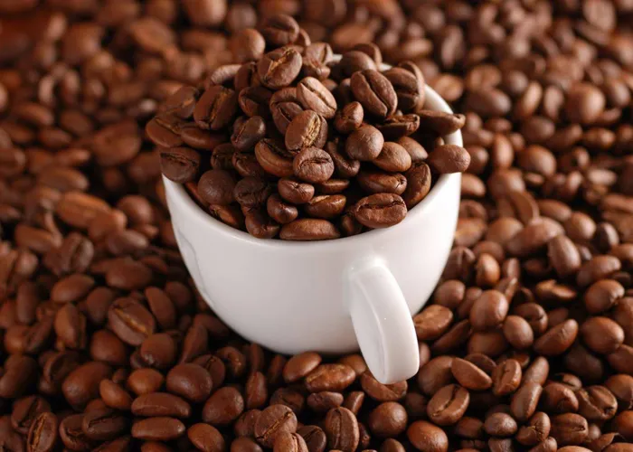 Caffee rang mộc.caffee môc.caffee môc là gì.mua caffee mộc