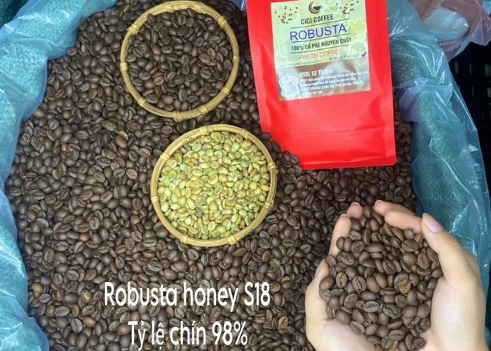 Robusta honey giá sỉ