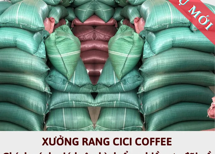 Caffe nhân xanh - Chuẩn  bị mùa vụ mới - Hãy cùng khởi động bạn nhé