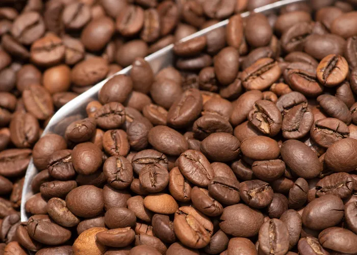 Vì sao hạt cà phê rang mộc trở thành sự lựa chọn hàng đầu của người tiêu dùng?