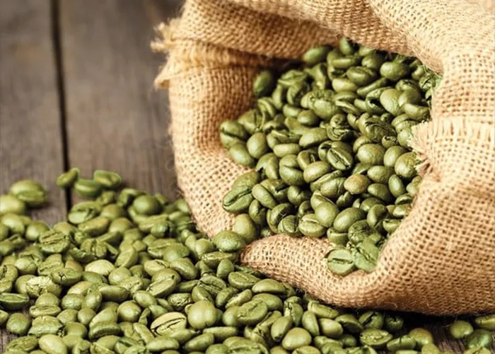 Chế biến và bảo quản cà phê nhân xanh: Những điều bạn cần biết 