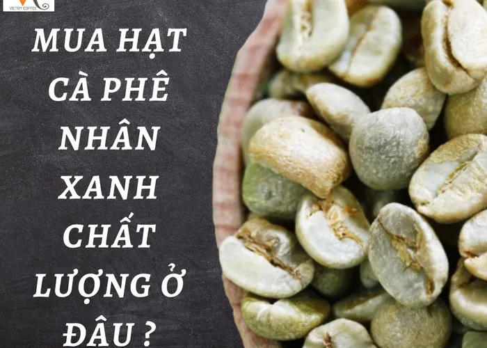 Mua hạt nhân xanh chất lượng ở đâu? | Việt Mỹ Coffee