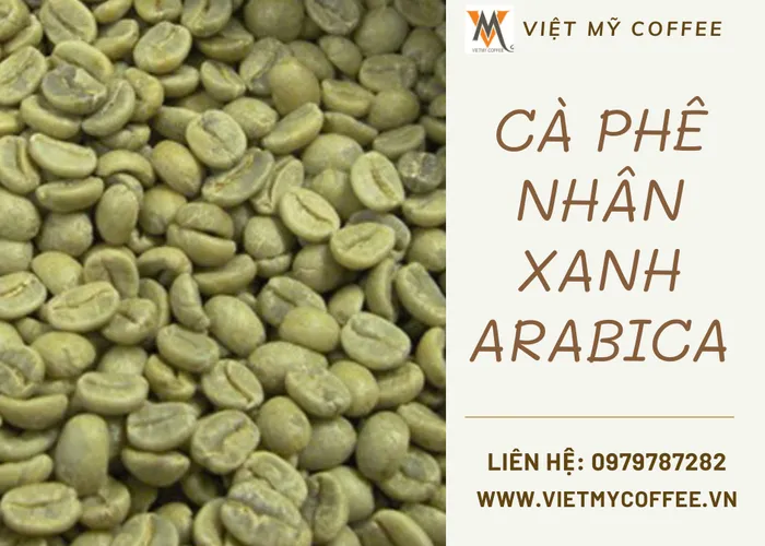Cà phê Arabica - Sự kết hợp hoàn hảo giữa hương thơm và chất lượng