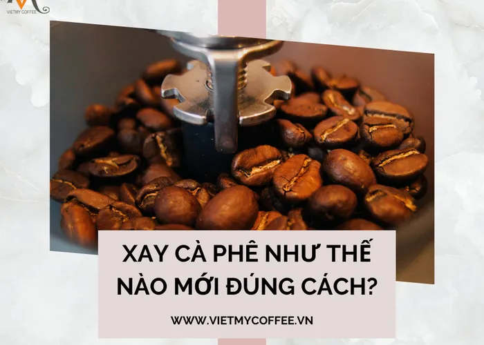 Tại Sao Phải Xay Hạt Cà Phê Đúng Cách?  Xay Cà Phê Như Thế Nào Mới Chuẩn?