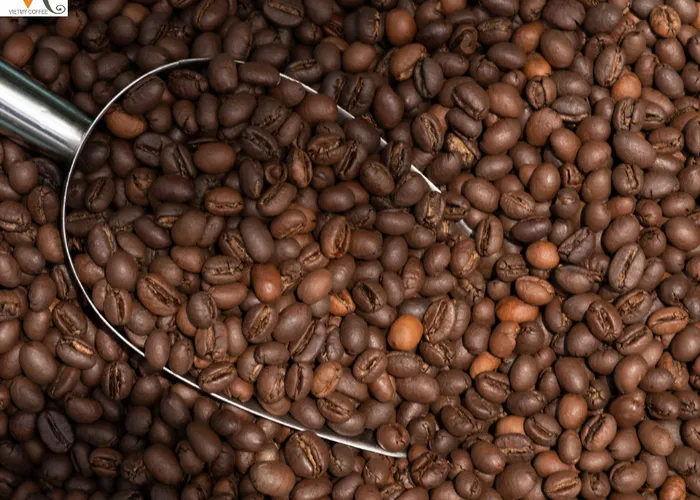 Cà phê hạt rang mộc Culi của Việt Mỹ Coffee - Hương vị đậm đà, tinh tế