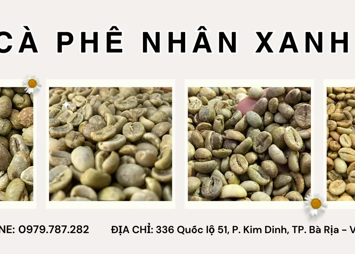 Cà Phê Nhân Xanh – Nguyên Liệu Chất Lượng Cho Ly Cà Phê Đậm Đà Nguyên Bản