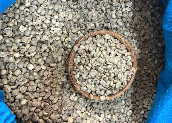 Giá Nhân Xanh Arabica Cầu Đất Hôm Nay (20/12/2025) tại Việt Mỹ Coffee