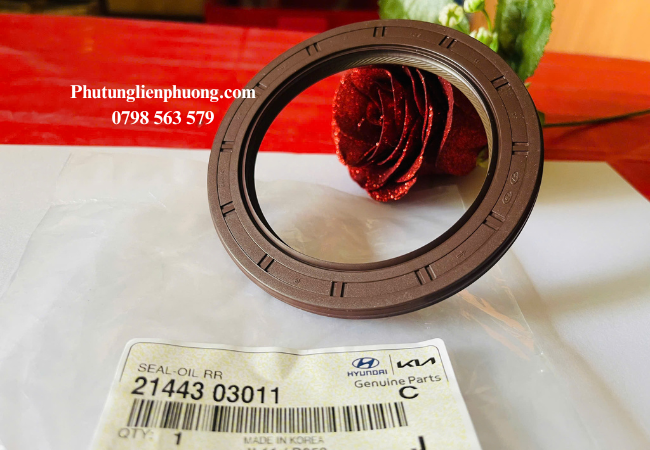 Chức năng chính của phốt đuôi trục cơ i10 là ngăn chặn sự rò rỉ dầu từ bên trong động cơ ra bên ngoài Chức năng chính của phốt đuôi trục cơ i10 là ngăn chặn sự rò rỉ dầu từ bên trong động cơ ra bên ngoài