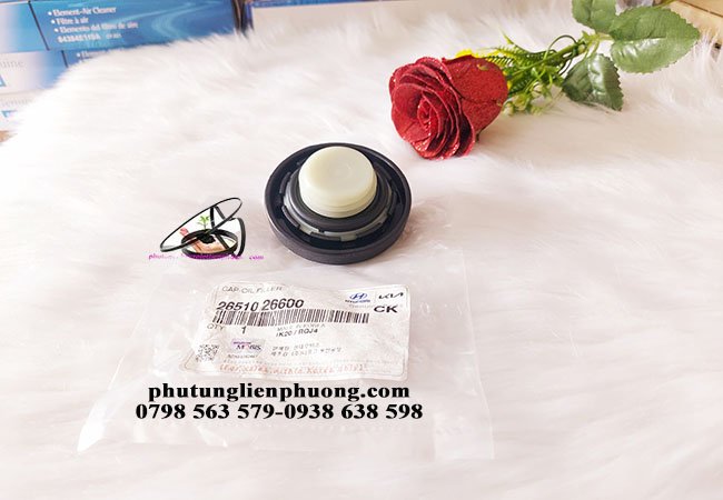 nắp nhớt bảo vệ động cơ chống bụi bẩn bay vào dầu nhớt nắp nhớt bảo vệ động cơ chống bụi bẩn bay vào dầu nhớt