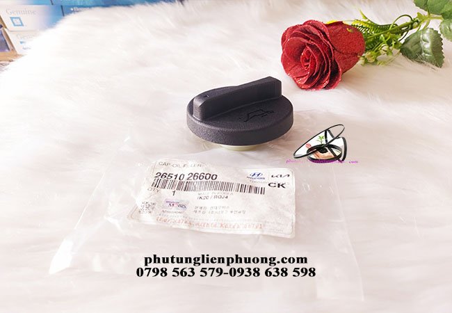nắp nhớt chính hãng hyundaii10, kia morning,elantra nắp nhớt chính hãng hyundaii10, kia morning,elantra