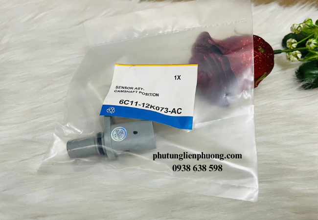 Cảm biến trục cam Transit hoạt động bằng cách theo dõi vị trí của trục cam trong động cơ Cảm biến trục cam Transit hoạt động bằng cách theo dõi vị trí của trục cam trong động cơ