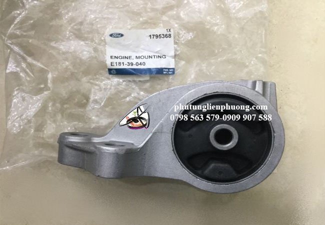 chân máy sau escape chính hãng chân máy sau escape chính hãng