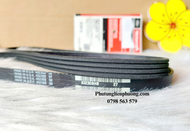 Nguyên nhân phổ biến nhất dây curoa tổng bị hư hỏng là sự lão hóa tự nhiên của vật liệu Nguyên nhân phổ biến nhất dây curoa tổng bị hư hỏng là sự lão hóa tự nhiên của vật liệu