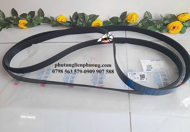 dây curoa tổng ford transit 2022 chính hãng dây curoa tổng ford transit 2022 chính hãng