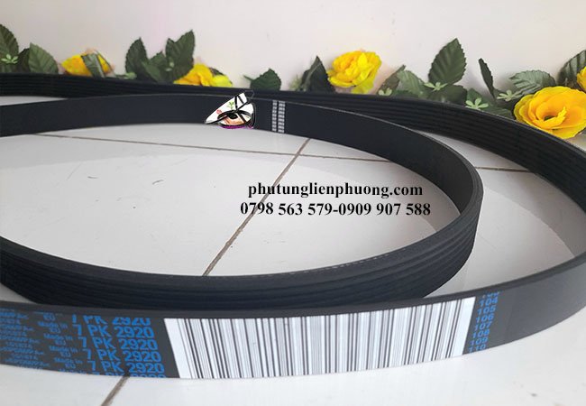 đặt mua ngay dây tổng transit đời mới chính hãng đặt mua ngay dây tổng transit đời mới chính hãng