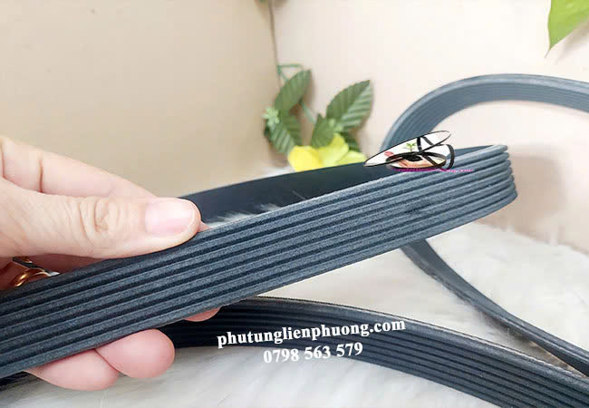 Dây curoa hư hỏng có thể dẫn đến các hỏng hóc tốn kém và thậm chí là hỏng động cơ hoàn toàn. Dây curoa hư hỏng có thể dẫn đến các hỏng hóc tốn kém và thậm chí là hỏng động cơ hoàn toàn.