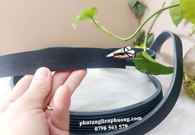 Dây curoa tổng Ford Ranger được làm từ cao su tổng hợp, có khả năng chịu lực kéo và chống mài mòn cao Dây curoa tổng Ford Ranger được làm từ cao su tổng hợp, có khả năng chịu lực kéo và chống mài mòn cao