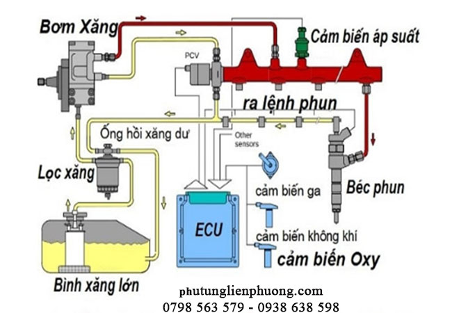hình ảnh quá trình hoạt động của cảm biến oxy dưới xe escape hình ảnh quá trình hoạt động của cảm biến oxy dưới xe escape
