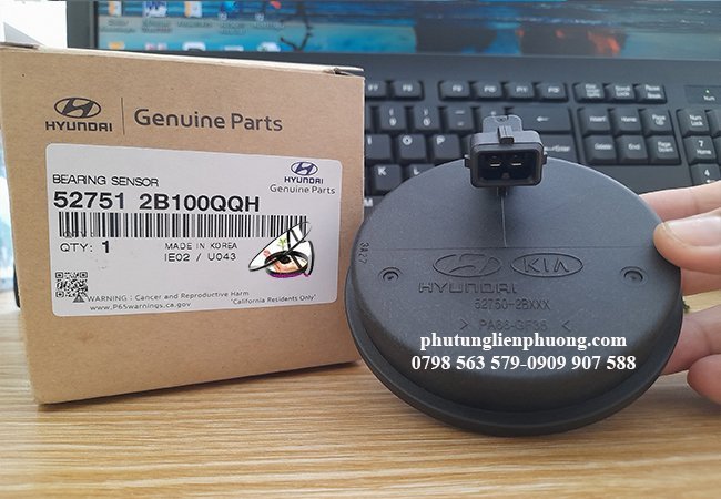 nắp chụp cảm biến abs xe hyundai santafe chính hãng nắp chụp cảm biến abs xe hyundai santafe chính hãng