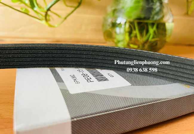 Hãy thường xuyên kiểm tra tình trạng của dây curoa tổng Mazda 3 cũng như các linh kiện khác Hãy thường xuyên kiểm tra tình trạng của dây curoa tổng Mazda 3 cũng như các linh kiện khác