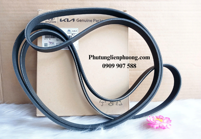 dây curoa tổng kia carens chính hãng dây curoa tổng kia carens chính hãng