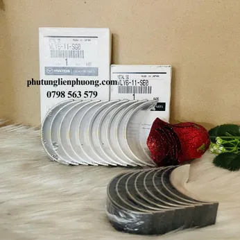 Bạc biên Ranger Evesrest Cos 0 chính hãng mã WLY611SE0