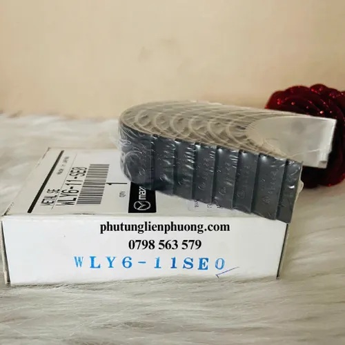 Bạc biên Ranger Evesrest Cos 0 chính hãng mã WLY611SE0