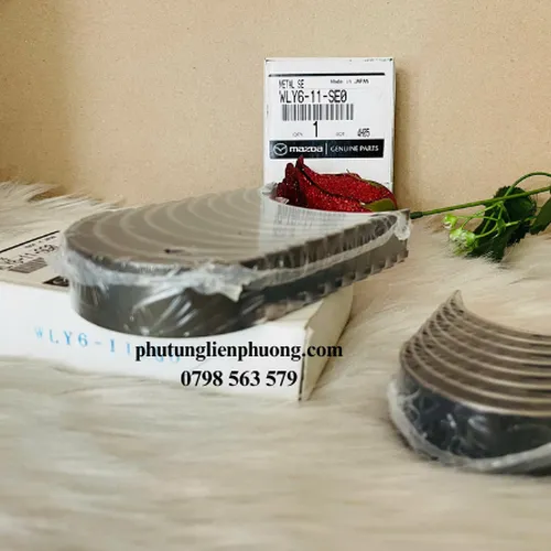 Bạc biên Ranger Evesrest Cos 0 chính hãng mã WLY611SE0