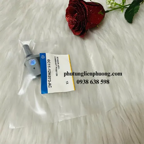 Cảm biến trục cam Transit, Ranger , Evesrest chính hãng