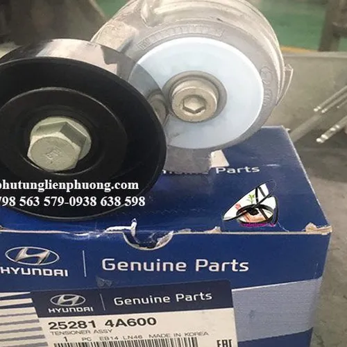 Cụm tăng dây curoa tổng Hyundai Solati - Mã phụ tùng: 252814A600